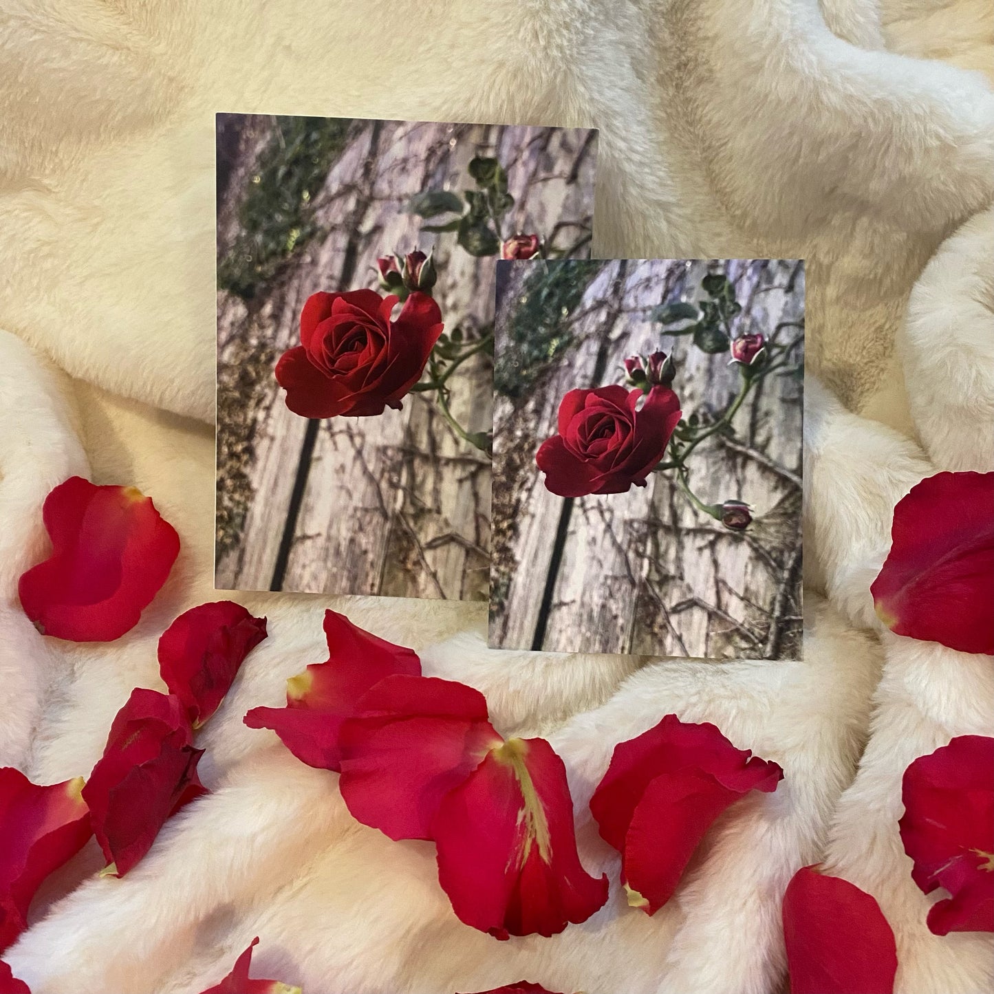 Pink Flower Postcards