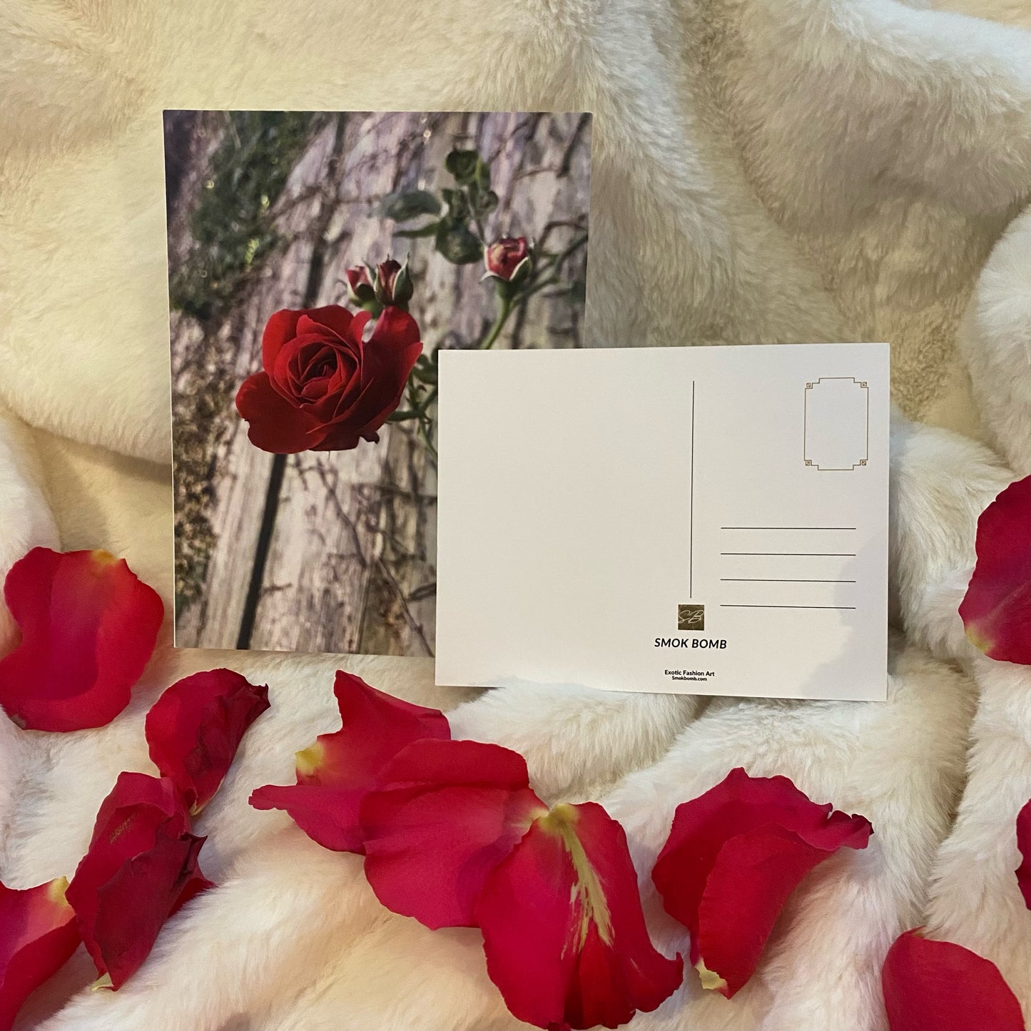 Pink Flower Postcards