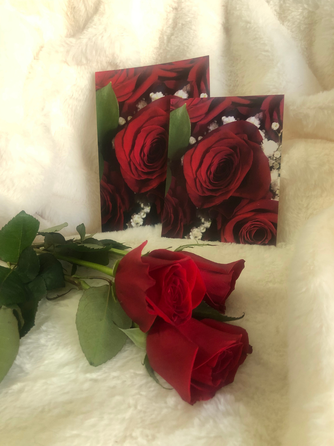 Classic Roses Postcards