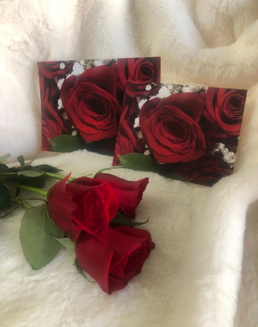 Classic Roses Postcards